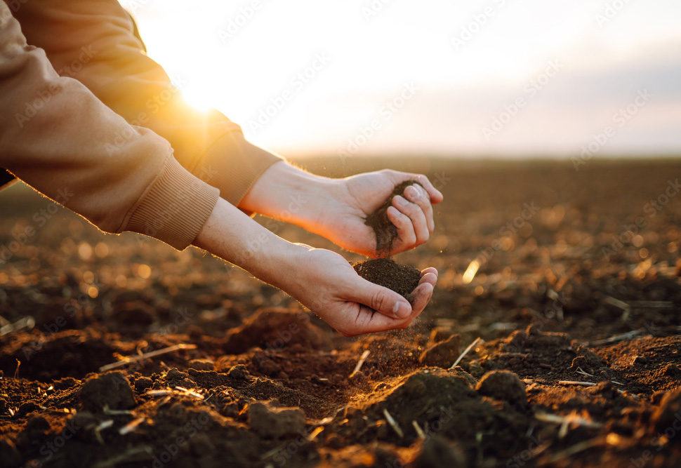 AdobeStock_439912999_Preview